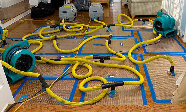 Professional Flood Damage Restoration technician working in Ottawa, IL